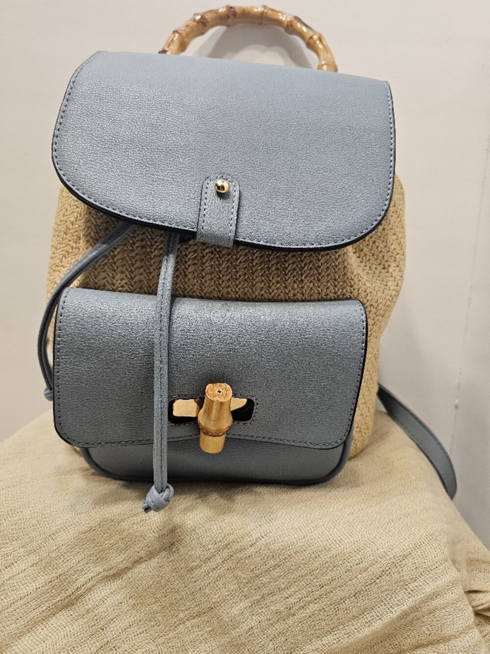 Hand Bag/Back pack/ Perrywhinckle